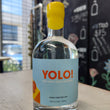 Load image into Gallery viewer, YOLO Gin - You only love Oranges
