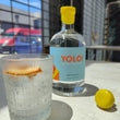 Load image into Gallery viewer, YOLO Gin - You only love Oranges
